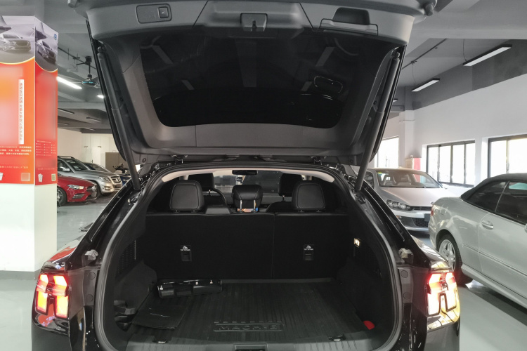 福特电马 2021款 无疆后驱豪华版(长续航)机舱底盘23