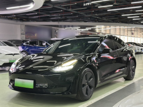 特斯拉 Model 3 2021款 标准续航后驱升级版 3D6