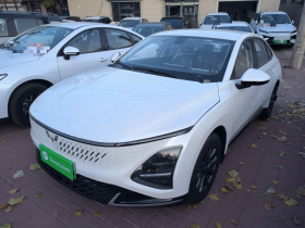 五菱汽车 五菱星光 2025款 70km 智能标准型