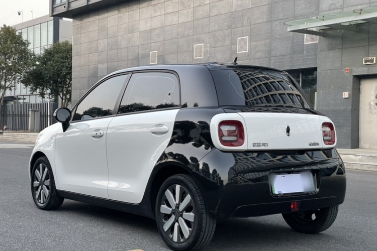 欧拉黑猫 2019款 351km 灵智版车身外观6010