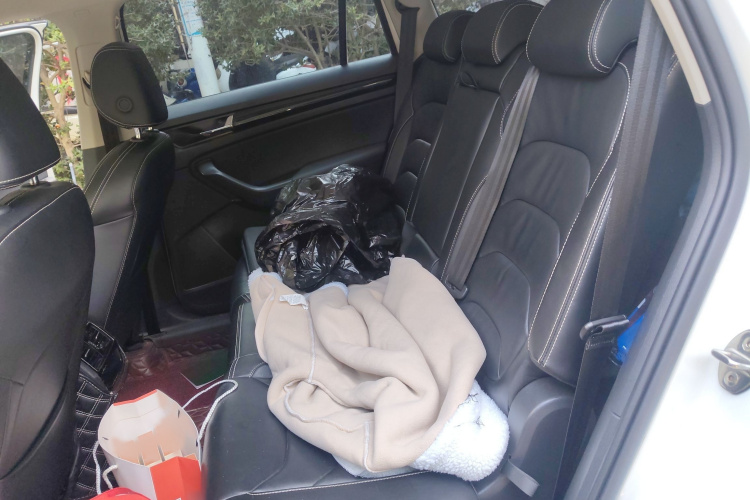 斯柯达 柯迪亚克 2019款 改款 TSI330 7座两驱豪华优享版 国VI中控内饰7004