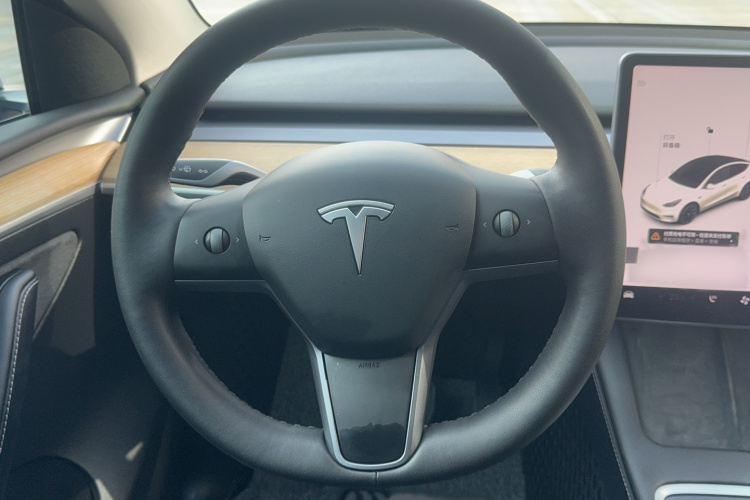 特斯拉 Model Y 2021款 标准续航后驱版局部细节13