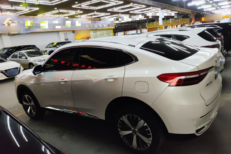 哈弗F7x 2019款 1.5T 两驱极智潮玩版车身外观6003