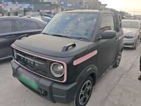 吉利银河 2025款 210km 熊猫骑士