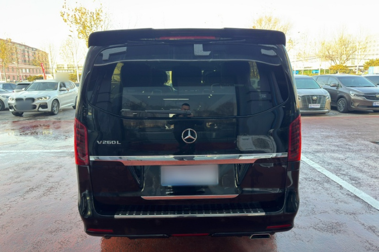 奔驰V级 2017款 V 260 L 尊贵加长版车身外观6006