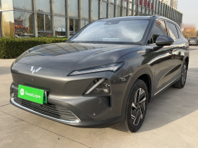 五菱汽车 五菱星光S 2024款 130km 旗舰型