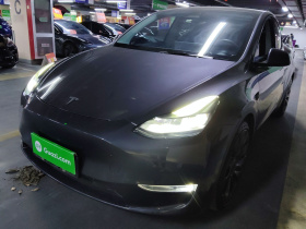 特斯拉 Model Y 2021款 Performance高性能全轮驱动版