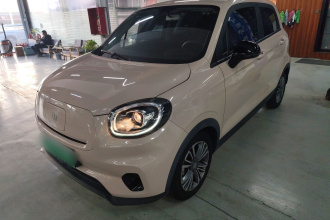 零跑汽车 零跑T03 2022款 特别版