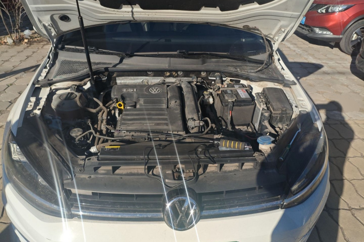 大众 高尔夫 2019款 280TSI DSG豪华型 国VI局部细节24