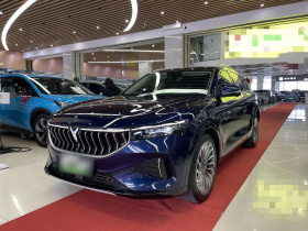 岚图汽车 岚图FREE 2021款 四驱标准增程专属豪华套装