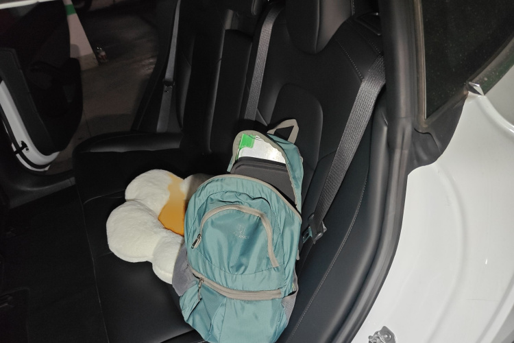 特斯拉 Model 3 2020款 改款 长续航后轮驱动版中控内饰7004