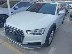 奥迪A4(进口) 2019款 45 TFSI allroad quattro 时尚型