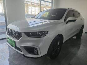 魏牌 VV5 2021款 1.5T 两驱智先锋