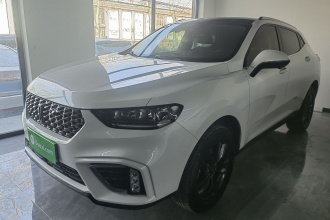 魏牌 VV5 2021款 1.5T 两驱智先锋