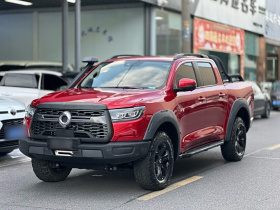 长城 炮 2020款 2.0T越野版自动汽油四驱限量版GW4C20B