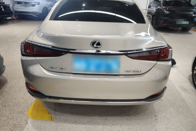 雷克萨斯ES 2020款 200 卓越版车身外观6