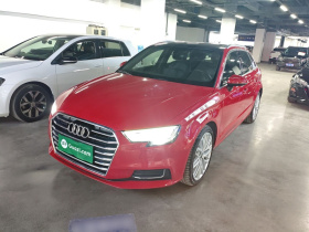 奥迪A3 2019款 Sportback 35 TFSI 风尚型 国V