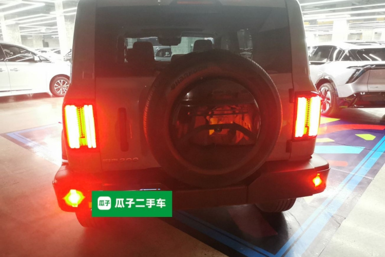 坦克300 2024款 2.0T 征服者车身外观6