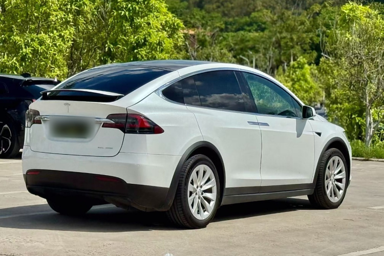 特斯拉 Model X 2019款 长续航版车身外观7