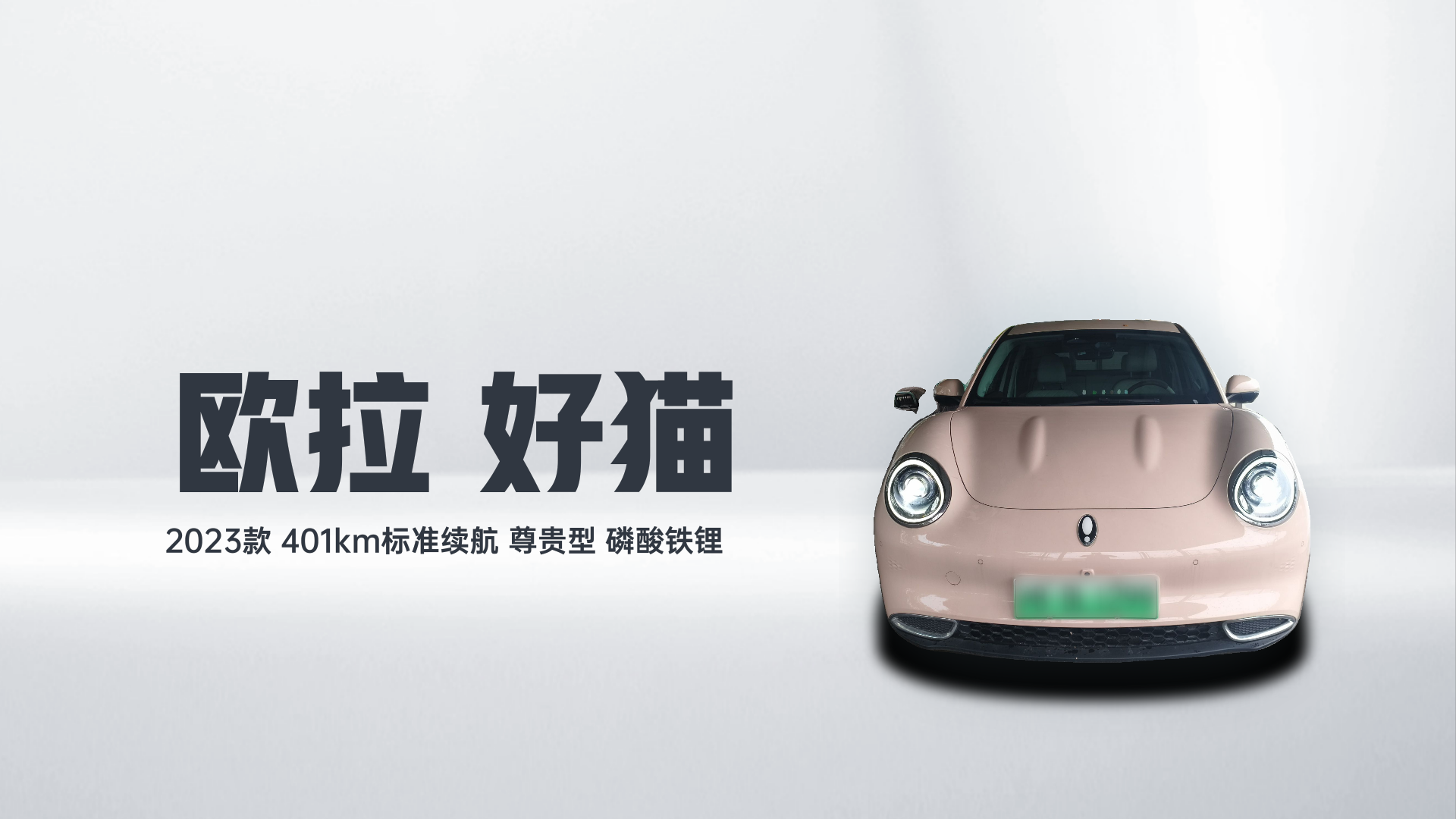 欧拉好猫 2023款 401km标准续航 尊贵型 磷酸铁锂解读1