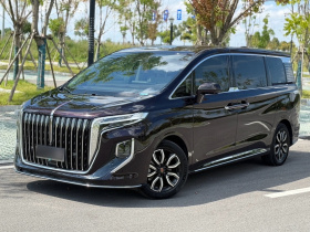 红旗HQ9 2023款 2.0T 智联旗领版