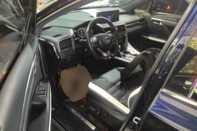 雷克萨斯RX 2021款 300 四驱F SPORT局部细节19