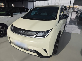 比亚迪 海豚 2023款 420km 自由版