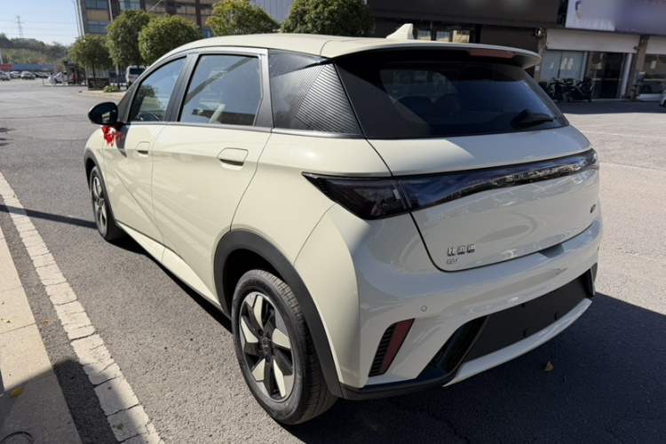 比亚迪 海豚 2025款 420km 自由版车身外观6003