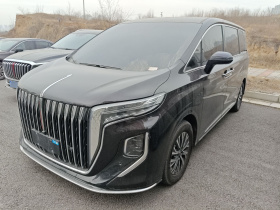 红旗HQ9 PHEV 2024款 2.0T 四驱商务版