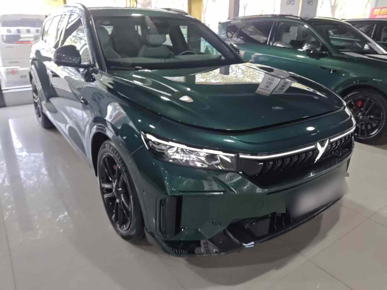 岚图汽车 岚图FREE 2025款 318 318km 后驱环游版(5)