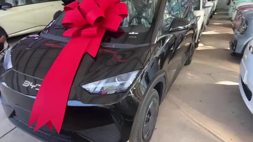 比亚迪 海鸥 2025款 智驾版 305km 活力版实拍1