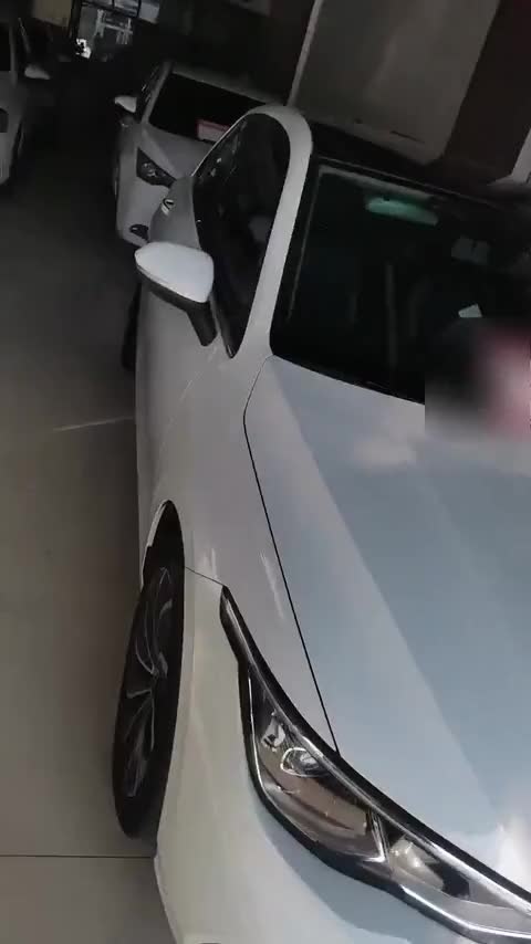 大众 高尔夫 2021款 280TSI DSG Pro讲解2