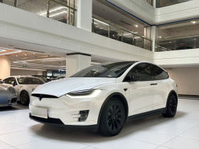 特斯拉 Model X 2019款 长续航版