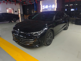 大众 帕萨特 2025款 Pro 380TSI 龙尊版