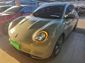 欧拉好猫 2023款 401km标准续航 豪华型 磷酸铁锂