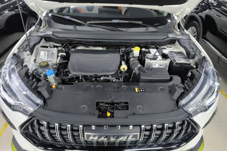 哈弗赤兔 2021款 激擎版 1.5T 铂金兔局部细节24