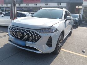 魏牌 摩卡 2021款 2.0T 两驱特醇版