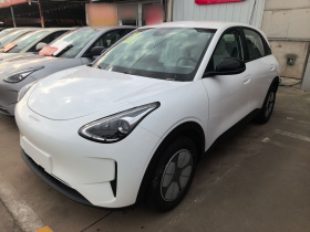 吉利银河 星愿 2026款 310km 青春版