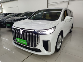 岚图汽车 岚图梦想家 2024款 PHEV 超长续航尊贵版