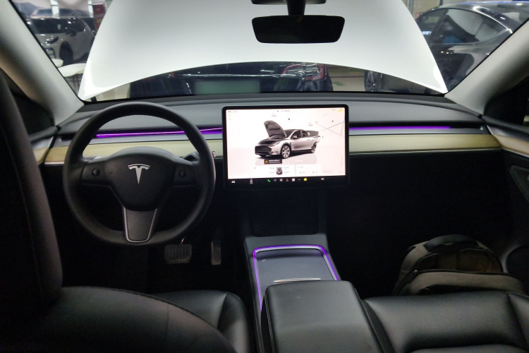 特斯拉 Model Y 2022款 改款 长续航全轮驱动版中控内饰7002