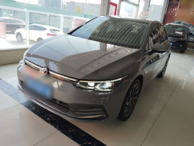 大众 高尔夫 2021款 280TSI DSG Pro