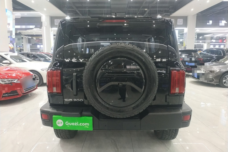 坦克300 2021款 越野版 2.0T 征服者车身外观6004