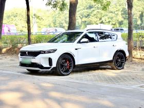 岚图汽车 岚图FREE 2025款 318 318km 后驱环游版