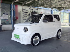 吉利银河 2024款 200km 熊猫卡丁