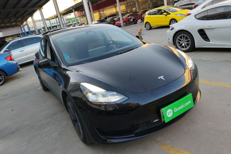 特斯拉 Model 3 2021款 标准续航后驱升级版 3D6车身外观6002