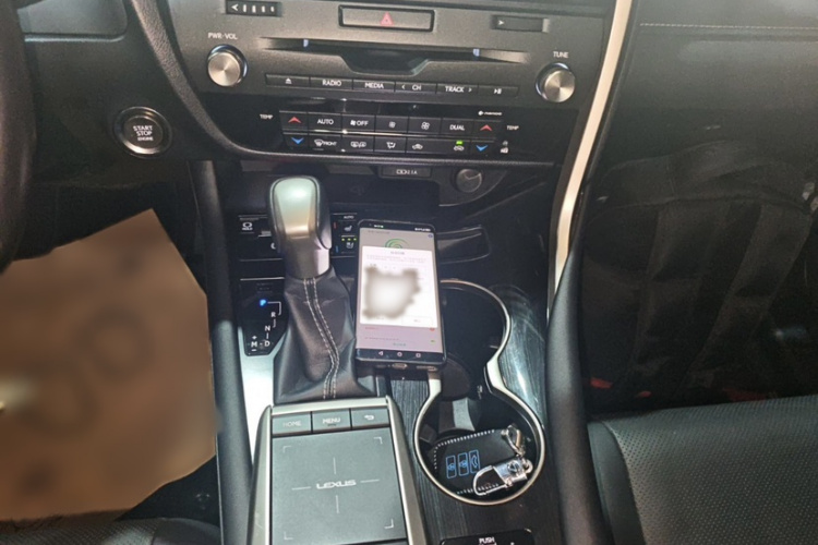 雷克萨斯RX 2020款 改款 300 两驱舒适版中控内饰7004