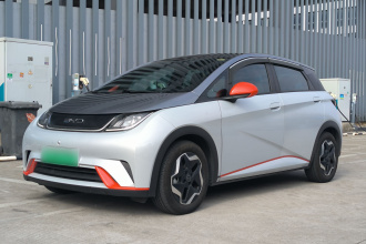 比亚迪 海豚 2021款 405km 时尚版