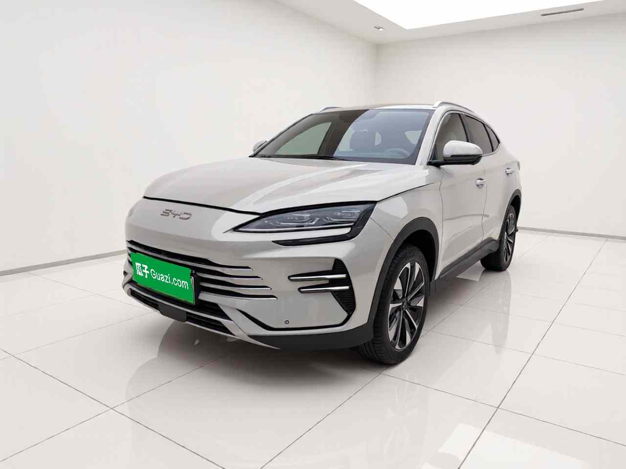 比亚迪 宋PLUS新能源 2025款 DM-i 112KM 尊荣型(2)