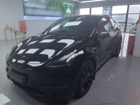特斯拉 Model Y 2023款 高性能全轮驱动版