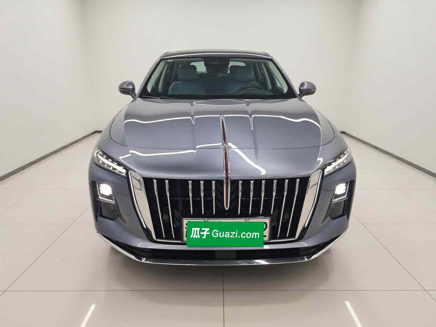 红旗H5 PHEV 2025款 170 超混版(1)